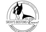 Boston terijer stenci