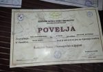 Stenci Rotvajlera Sampionskog Porekla