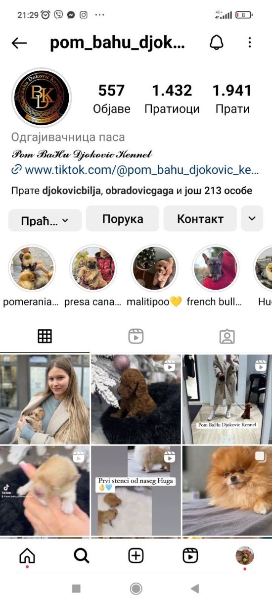 Odgaivacnica ekskluzivnih pomeranaca i pudli