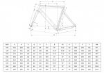 2025 Bianchi Oltre Race – 105 Di2 – Carbon Road Bike (RACYCLESPORT)