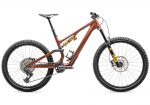 2025 Specialized Stumpjumper 15 – Öhlins Coil – Carbon Mountain Bike (RACYCLESPORT)