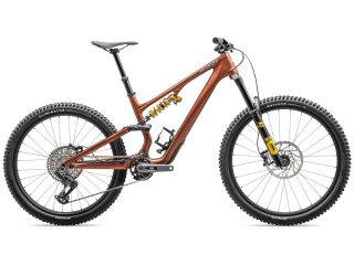 2025-Specialized-Stumpjumper-15-Ohlins-Coil-Carbon-Mountain-Bike