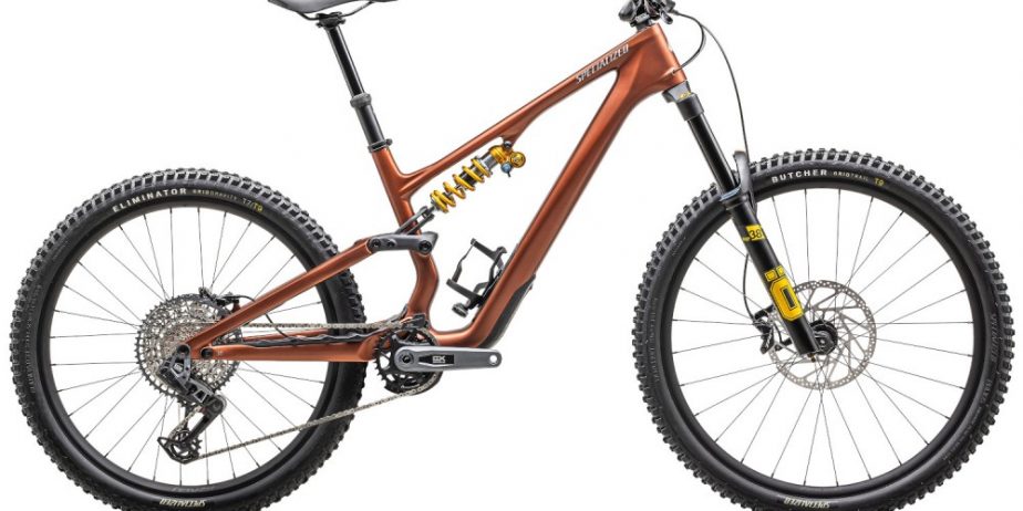 2025 Specialized Stumpjumper 15 – Öhlins Coil – Carbon Mountain Bike (RACYCLESPORT)