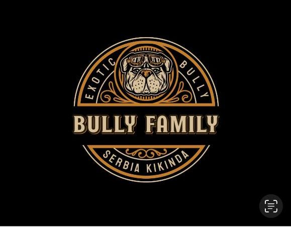 American bully exotic štenci