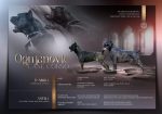 Cane Corso Kane Korso TOP KVALITET