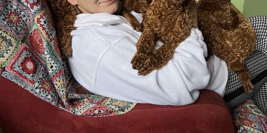 Toy Pudla štenci