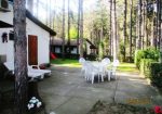 Odmor u Vincima, na Dunavu, u borovoj šumi, povoljno