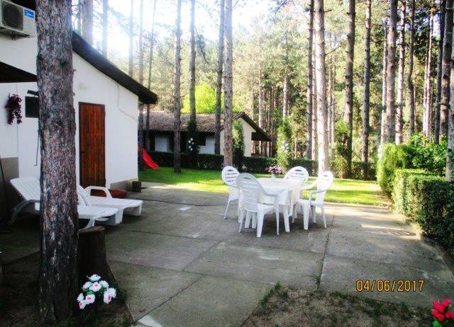 Odmor u Vincima, na Dunavu, u borovoj šumi, povoljno