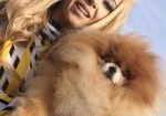 Pomeranac / Pomeranian / Boo štenci