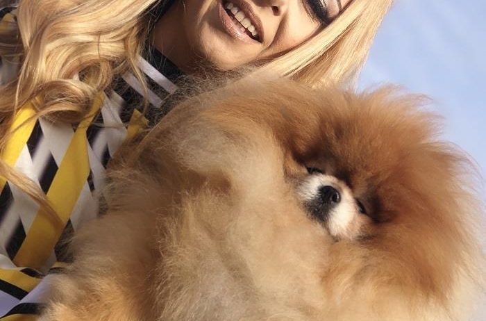 Pomeranac / Pomeranian / Boo štenci