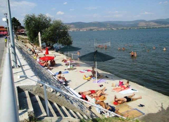 Odmor u Vincima, na Dunavu, u borovoj šumi, povoljno