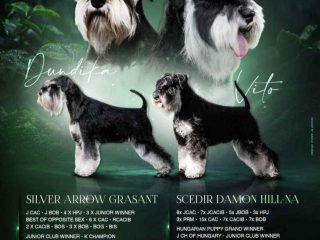 poster-biaci