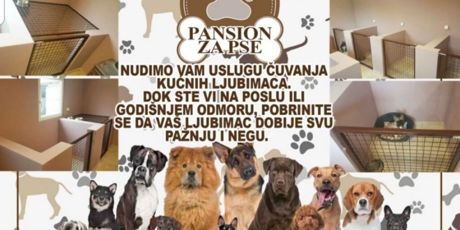 Pansion za pse – Subotica