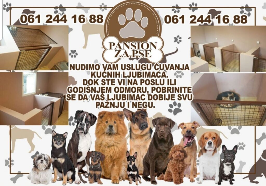 Pansion za pse – Subotica